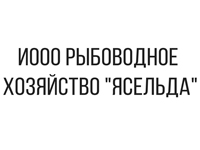 банкротство, ликвидация, юр услуги беларусь
